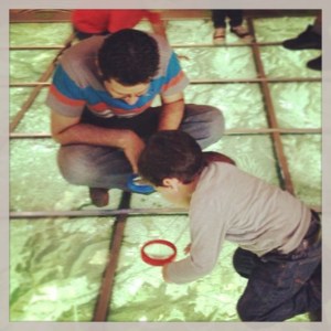 10955181_10152926781402286_2984125084675470834_n